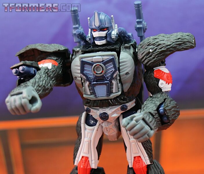 Transformers Kingdom Wave 1 Optimus Primal  (11 of 55)